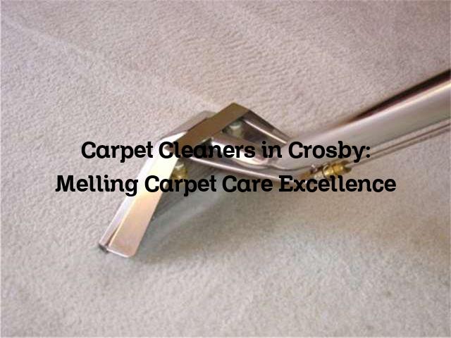 Carpet Cleaners in Crosby